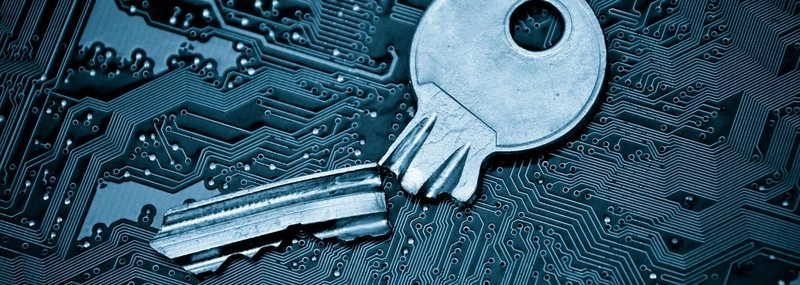 Automating Vulnerability Discovery in Critical Applications