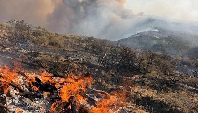 Wildfire Response Tests xView2 Damage Assessment Prototype