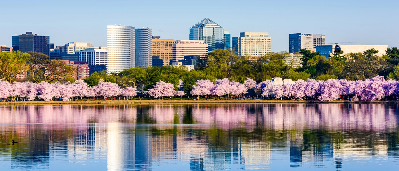 Photo of the Arlington skyline