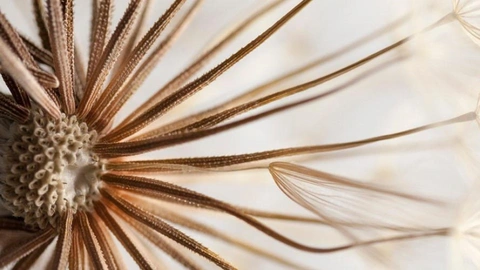 2023 SEI Research Review Cultivates Curiosity