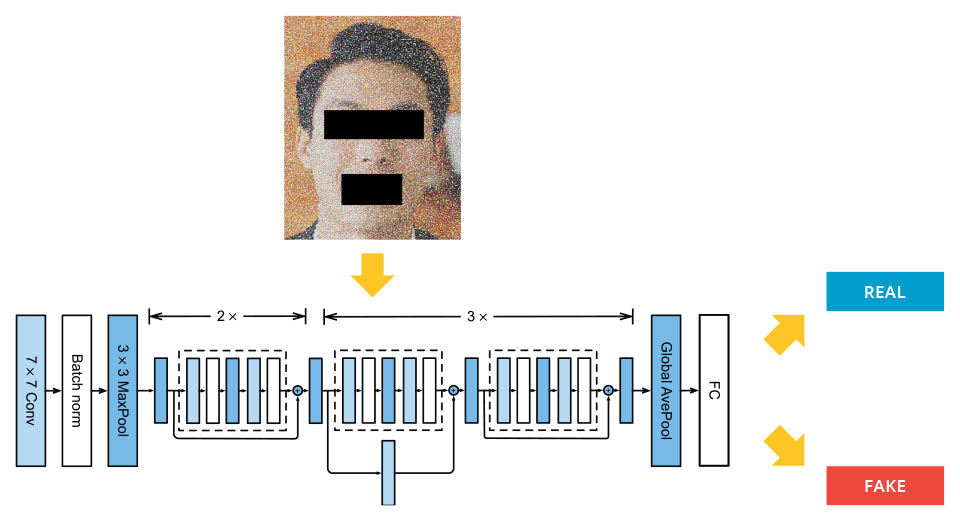 Deepfake detection methods generally involve finding the face, extracting facial landmarks and normalizing them, applying masking and/or noise, and sending it to a pre-trained image detector.